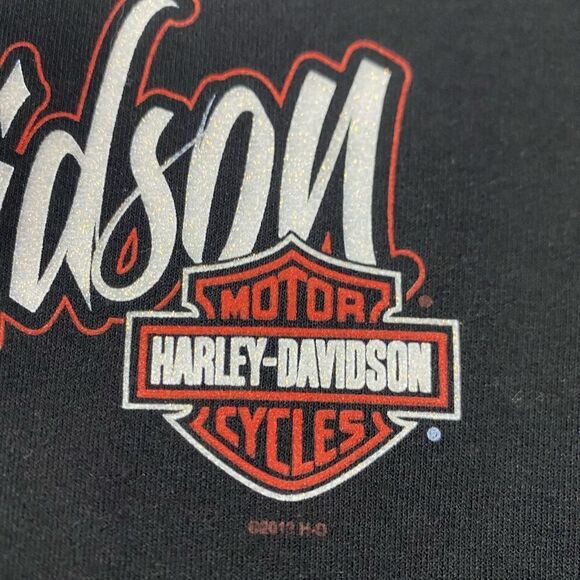NWT Harley Davidson Women’s Sweater Sweatshirt Barnett HD El Paso TX Size Large - Picture 4 of 8